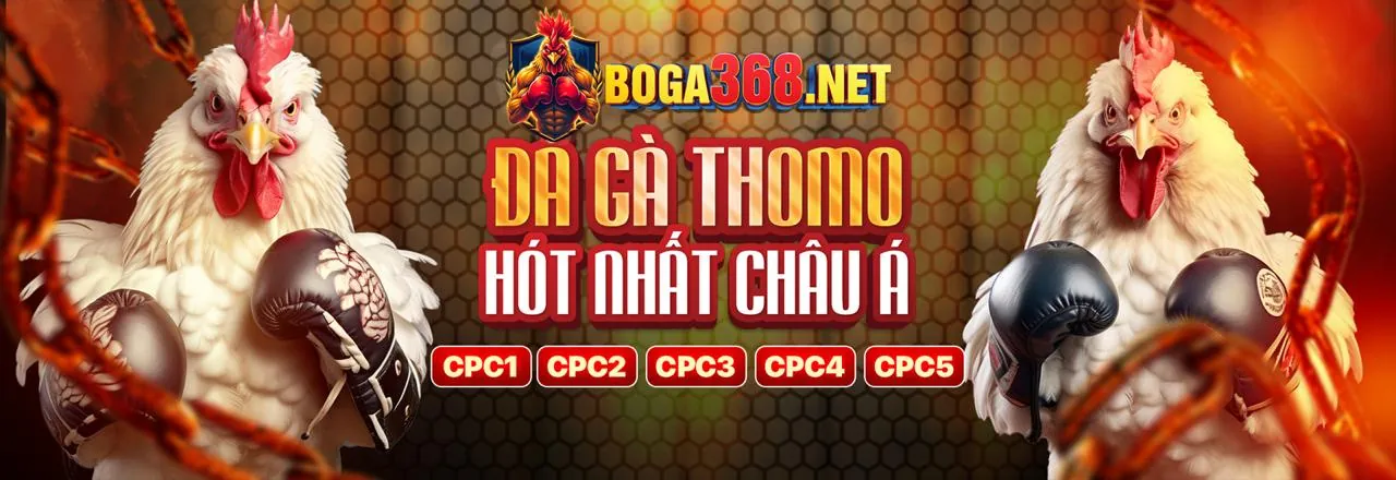 Chính sách Cookie của 6623a nhà cái, bảo vệ dữ liệu người dùng